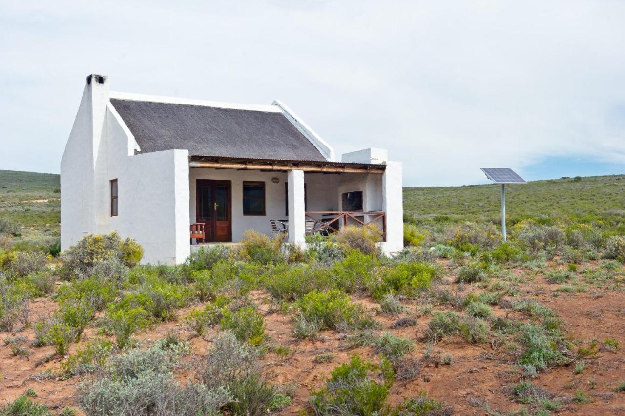 African Game Lodge 몬터규 외부 사진