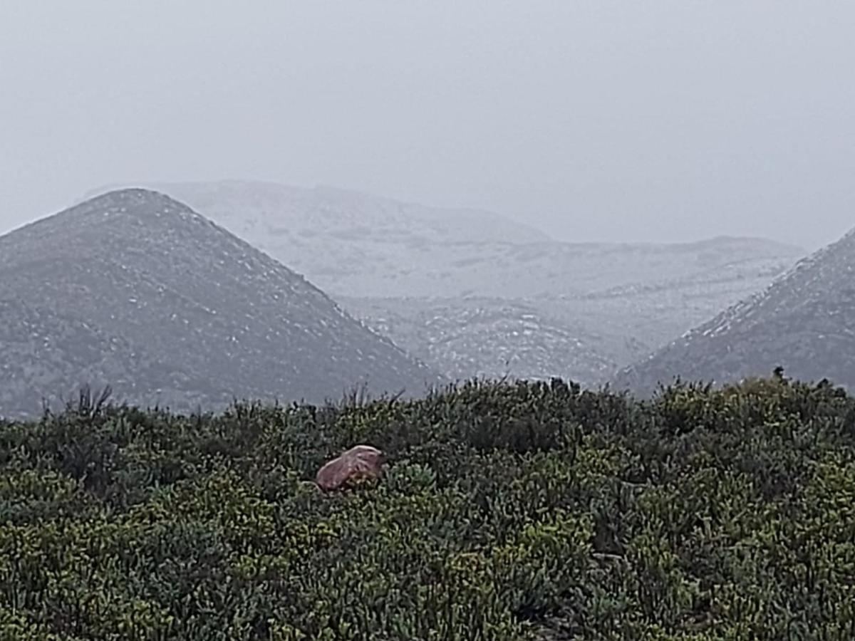 African Game Lodge 몬터규 외부 사진