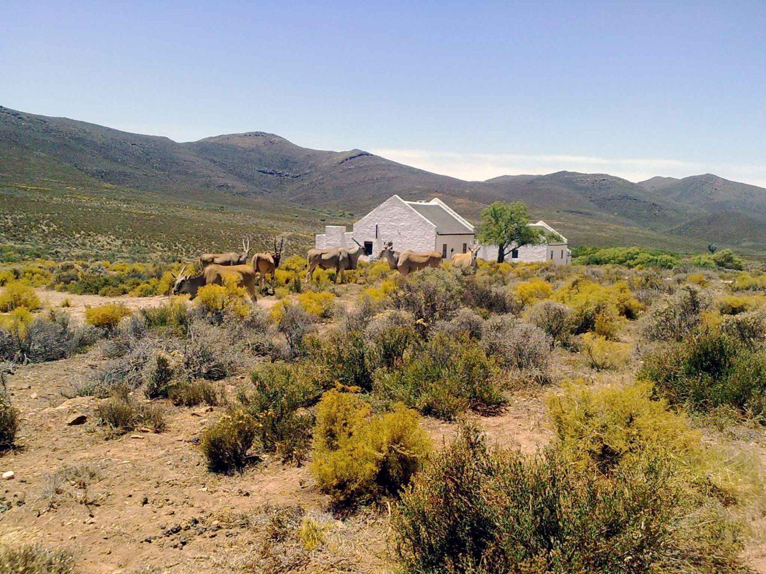 African Game Lodge 몬터규 외부 사진
