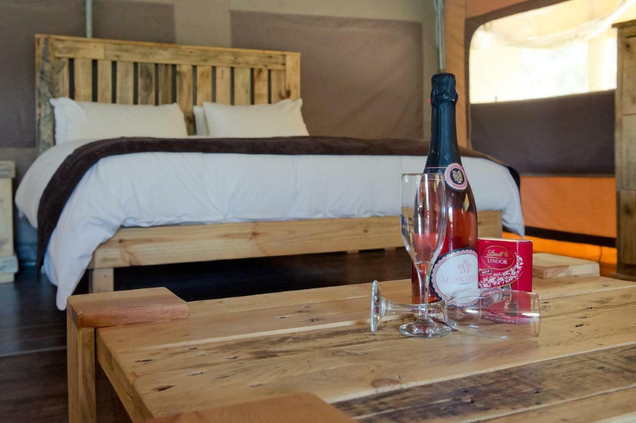 African Game Lodge 몬터규 외부 사진